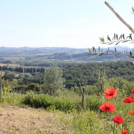 Tuscany Life * Terricciola